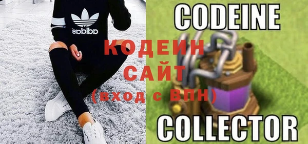 прущие грибы Алзамай