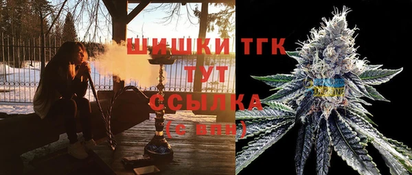 прущие грибы Алзамай