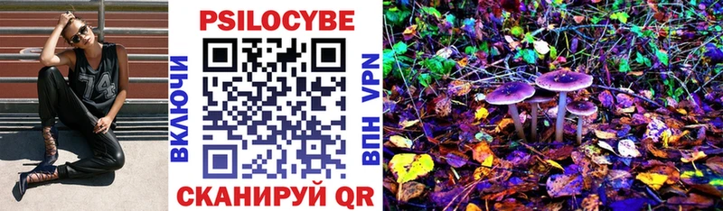 Галлюциногенные грибы Psilocybine cubensis  Лысково 